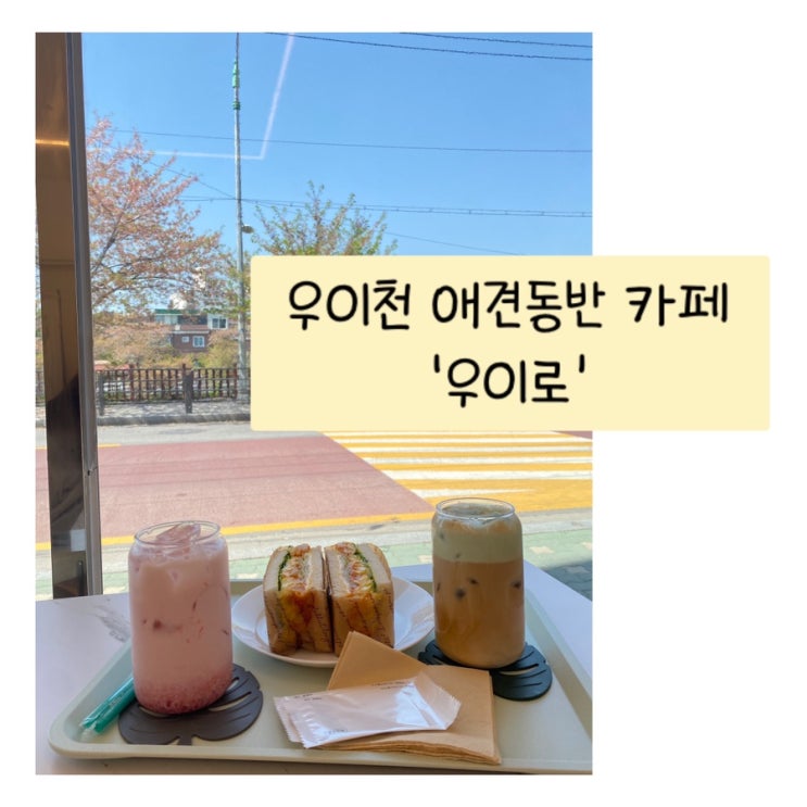  우이천 벚꽃 뷰 카페 - 애견동반 가능 카페 '우이로'