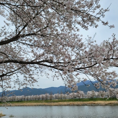 사진 3