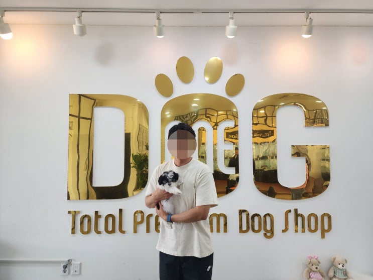  "파티말티푸 분양, 차별화된 서비스와 다양한 혜택, 세종 강아지 분양"/ 원독 /세종 애견샵
