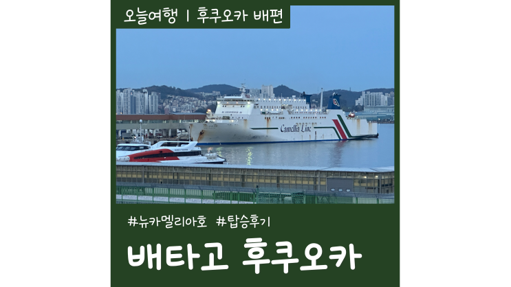 부산 후쿠오카 배편 뉴카멜리아호 시간 가격 수하물ㅣ배타고 일본여행 부산 후쿠오카 배편 뉴카멜리아호 시간 가격 수하물ㅣ배타고 일본여행