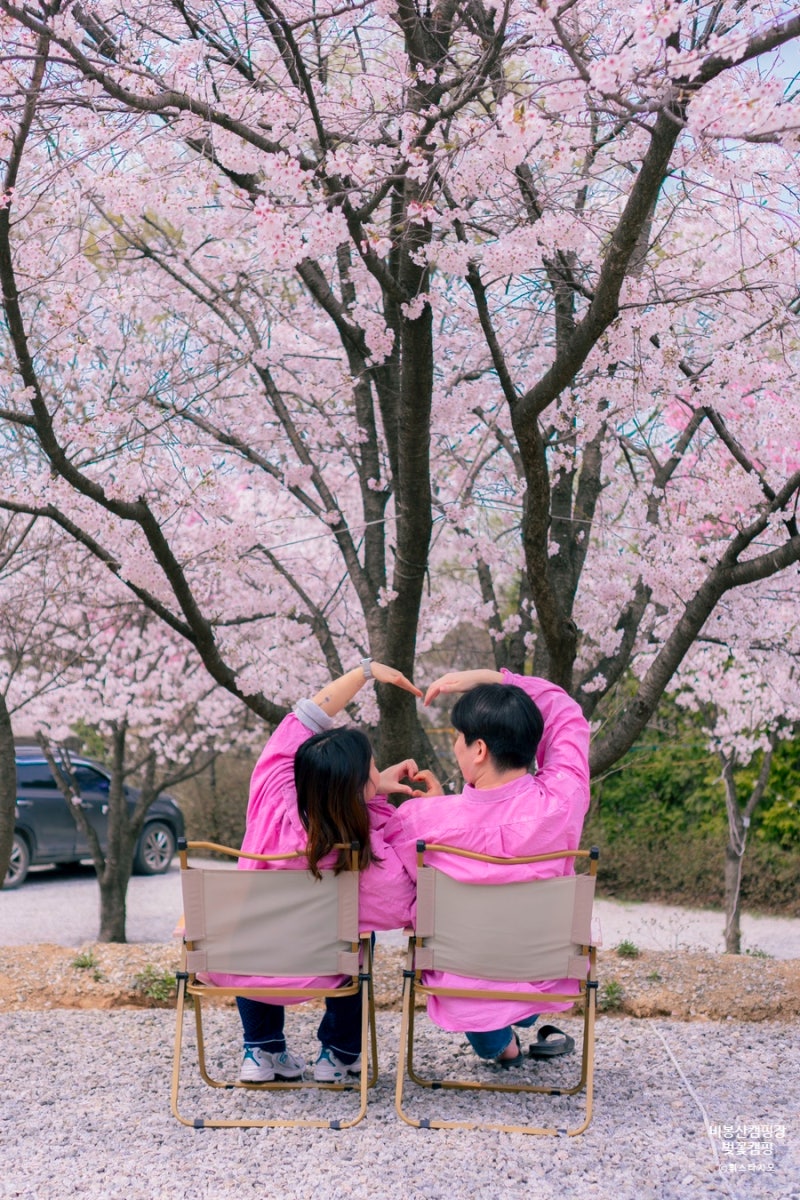 서울근교 벚꽃캠핑 :: 용인비봉산캠핑장 :: B1,예약,시설