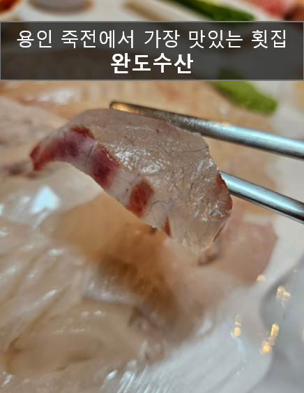  용인 죽전 횟집추천 활어 회 해산물 최애맛집 강력 추천하는 완도수산