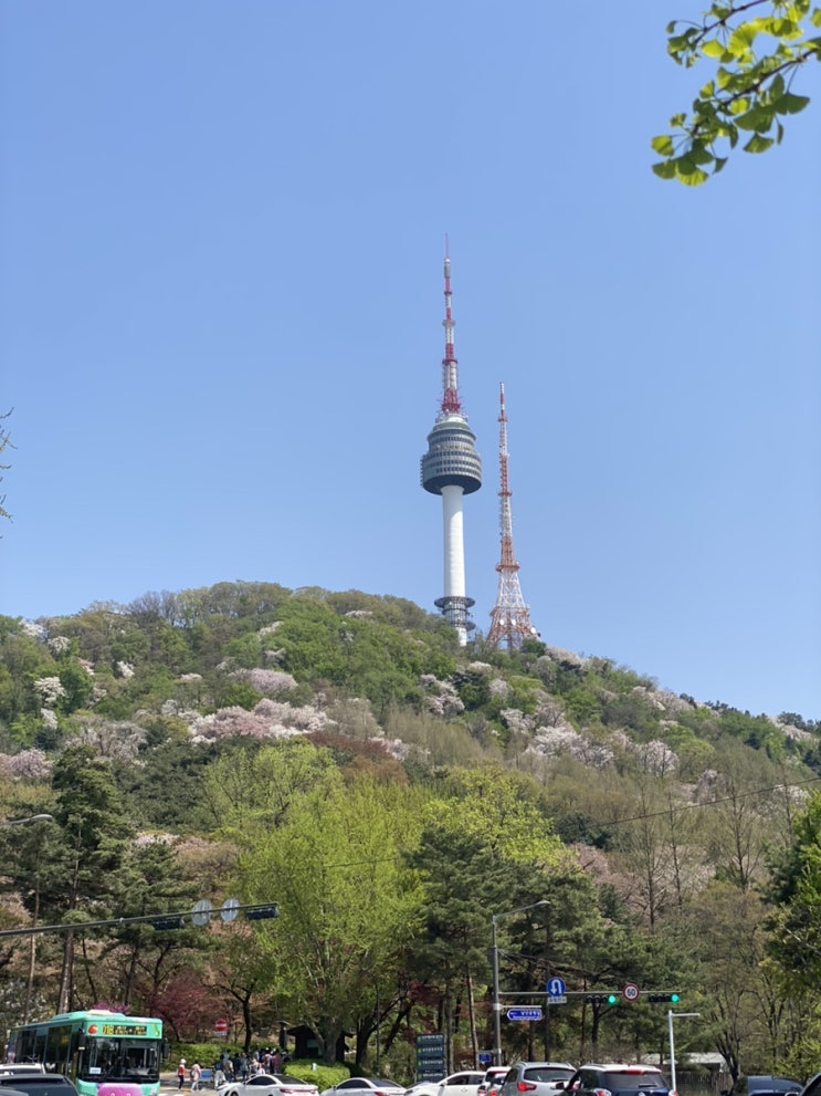  24년 4월 남산도서관 산책