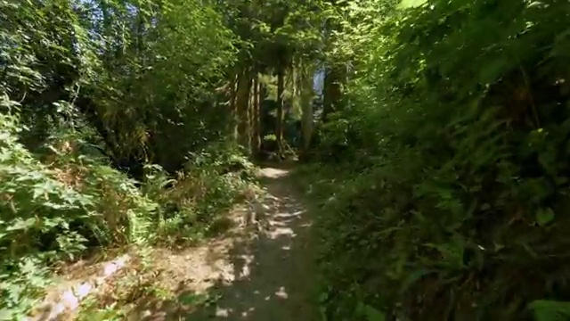  교통기사 시험 접수 교통기사 응시자격 실무경력 없어도 인강만 듣고 5달만에 완성하는 방법