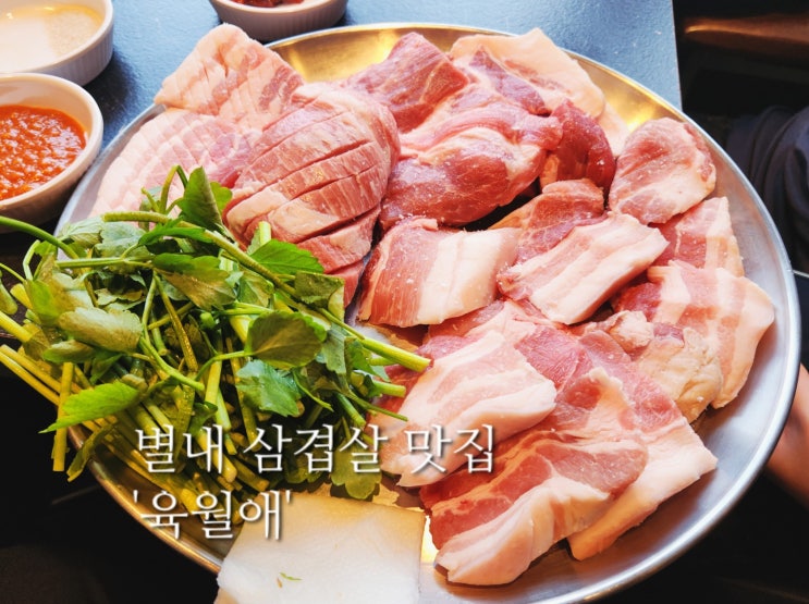  별내 삼겹살 맛집 육월애 고등급 제주 흑돼지 전문점