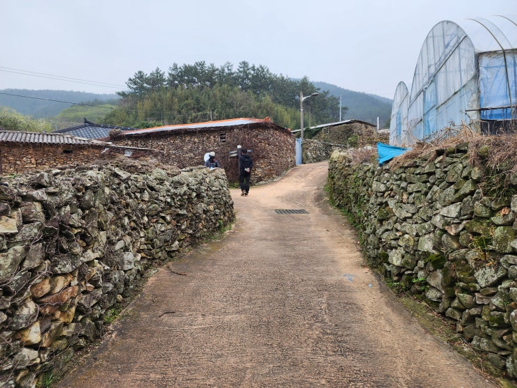 청산도 여행으로 가볼만한 곳 상서마을 옛 돌담길 청산도 여행으로 가볼만한 곳 상서마을 옛 돌담길