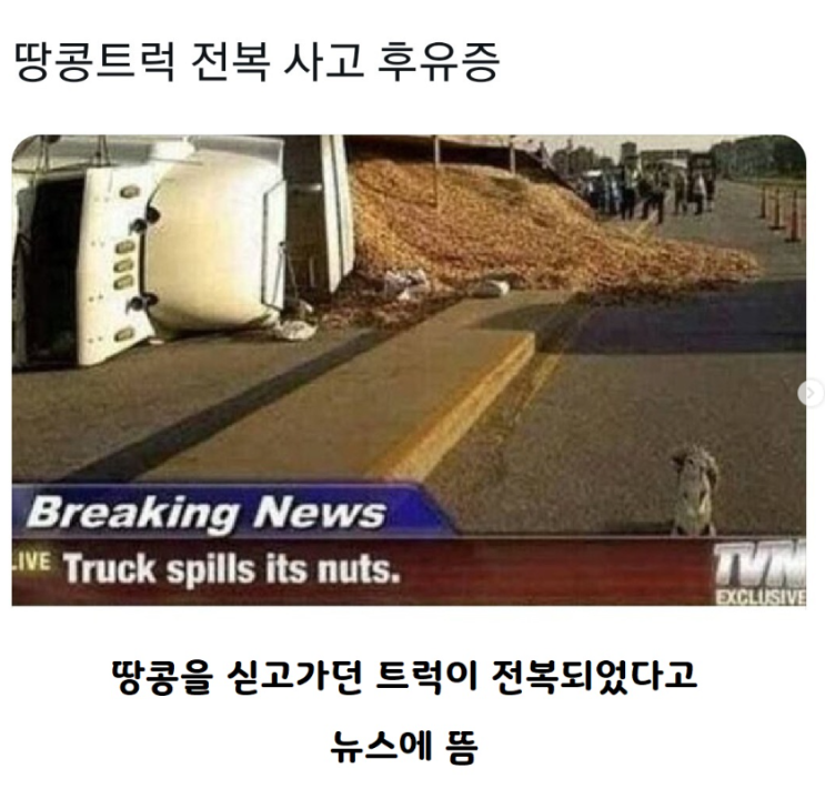  땅콩트럭 전복 사고 후유증