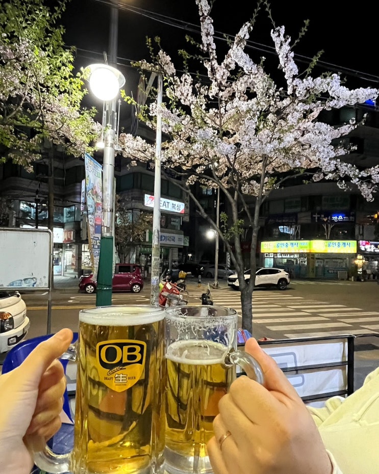  역곡 치킨맛집) 두리아치킨