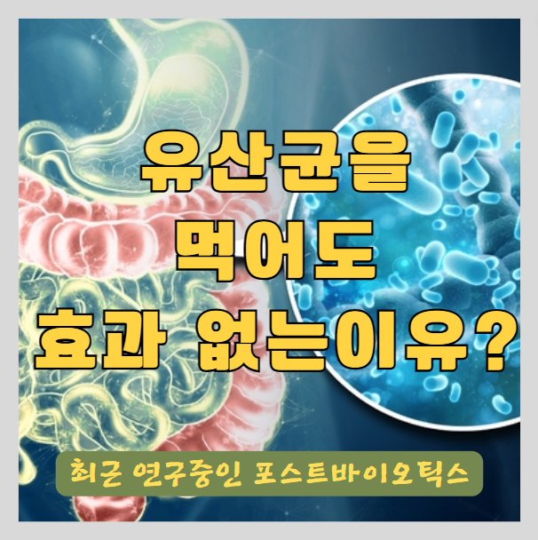  오늘 쓰레기를 비우는 것보다 장 건강에 더 관심을 기울여야 하는 이유