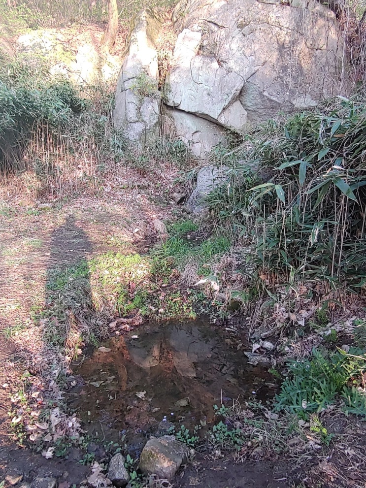 설봉산의 도룡용과 올챙이 그리고 ... 설봉산의 도룡용과 올챙이 그리고 ...