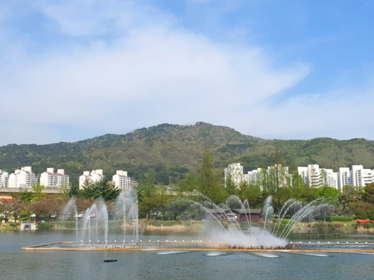 김해 가볼만한곳 튤립 연지공원 산책로 분수대 공영주차장