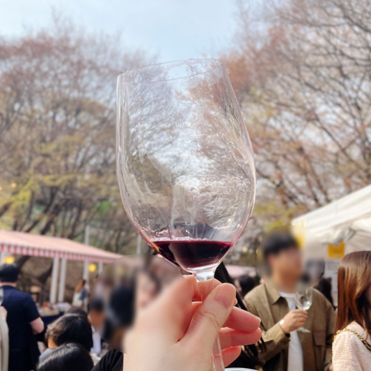  설렜던 일 : 새로운 경험과 벚꽃 ft. 와인 페스티벌