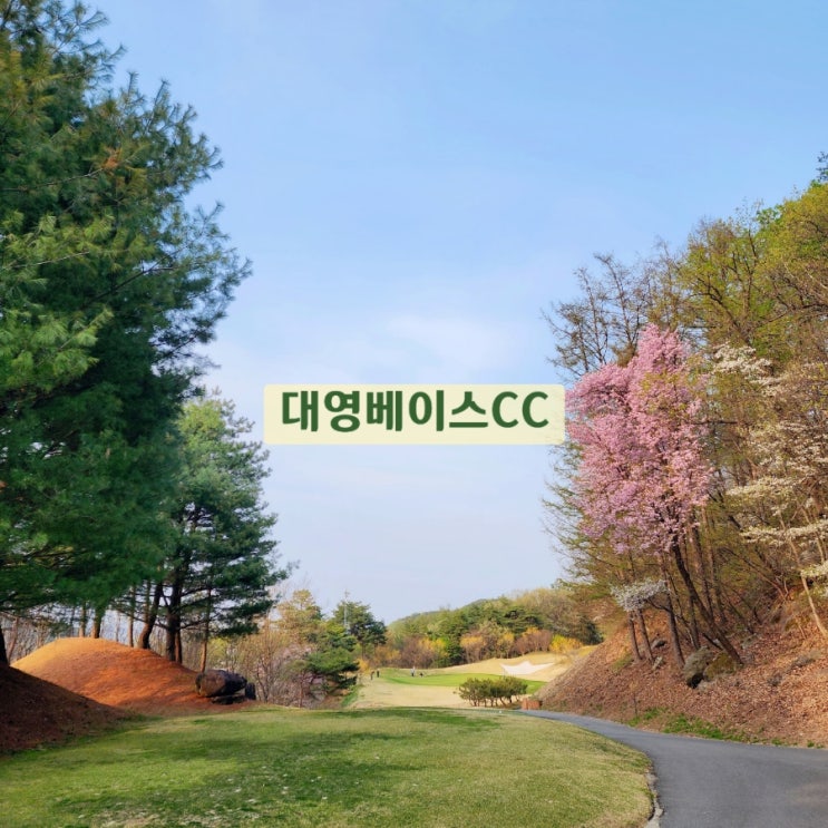 충청북도 <b>충주</b> 가성비 <b>골프장</b> 4월 벚꽃라운딩 <b>추천</b> (ft. 코스... 