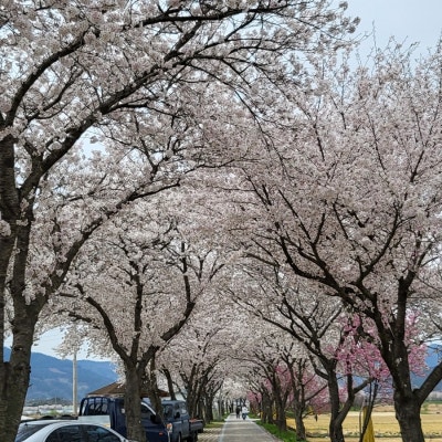 사진 4