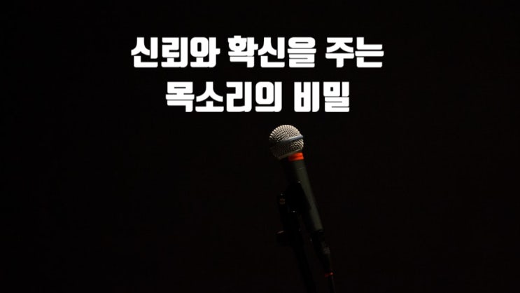  신뢰와 확신을 주는 목소리의 비밀, 사람을 움직이는 힘