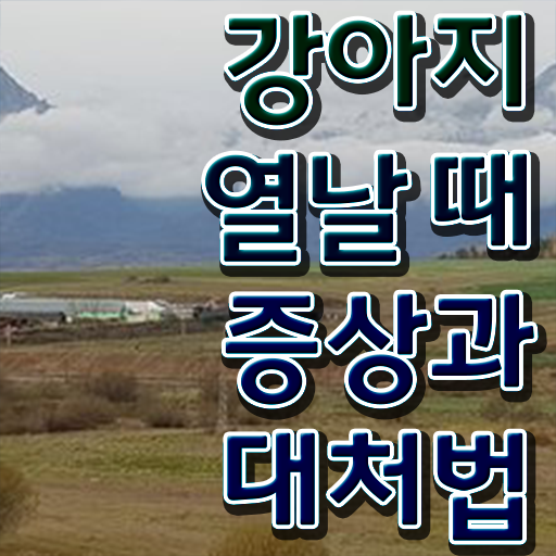  오산 강아지 훈련사 , 반려동물관리사 자격증 온라인 과정 정보 퍼펙트 요약