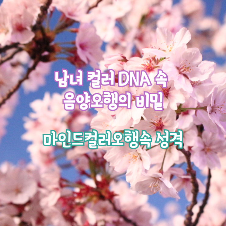  남녀 컬러 DNA 속 음양오행의 비밀 오행 속 성격 마인드 컬러로 알아보자