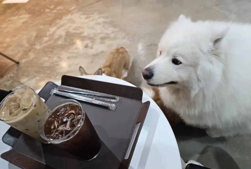 사진 3