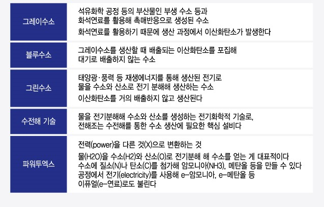 "그린·블루수소 수년간 공존"…저렴한 그린수소 핵심은 이것 "그린·블루수소 수년간 공존"…저렴한 그린수소 핵심은 이것