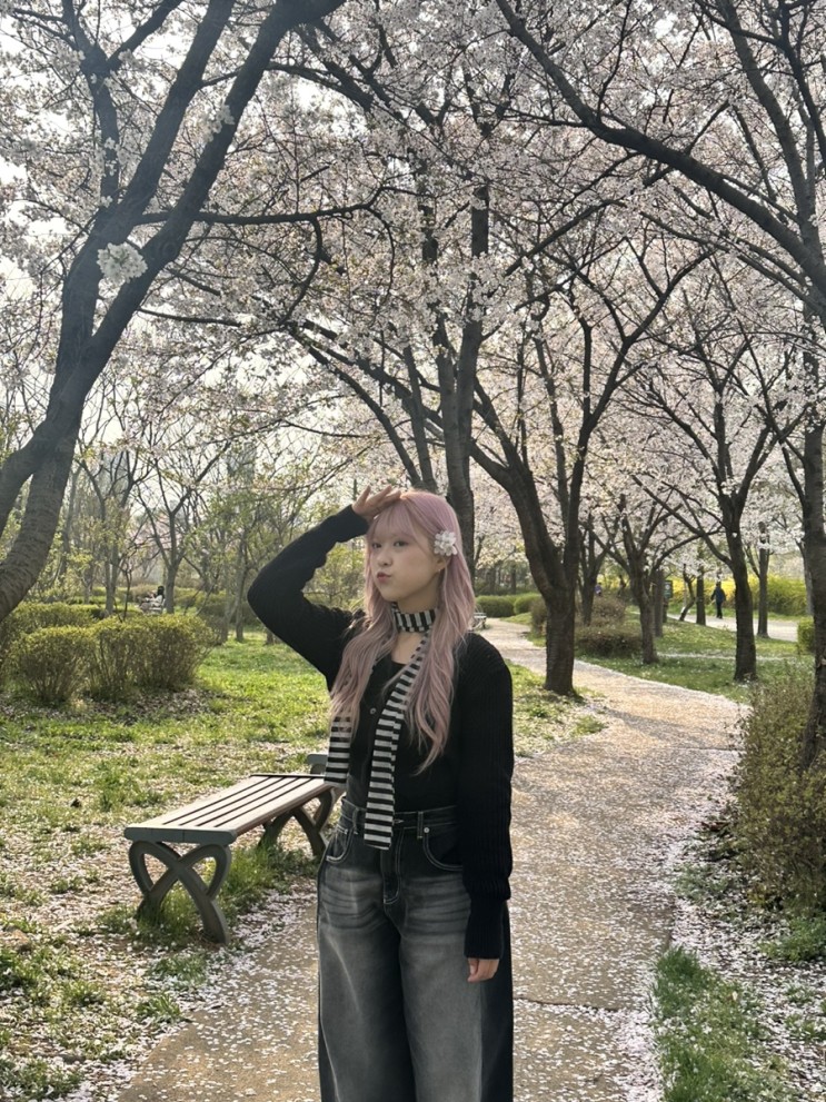 안산 벚꽃 안산호수공원 피크닉 데이트