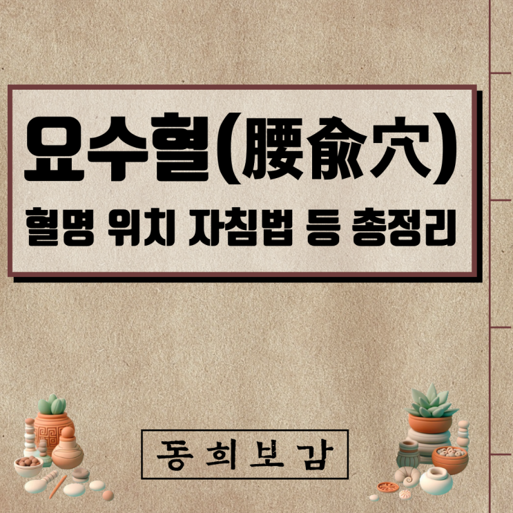  요수혈(腰兪穴), 소속경맥 혈명 위치 특성 자침법 등 총정리