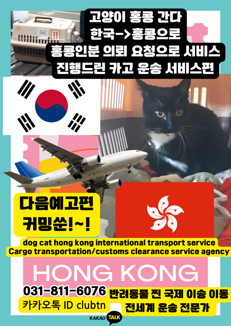 강아지 고양이 반려동물 대형견 단두종 동물 해외운송 국제 수송 [반려묘 반려견 홍콩보내기] 예고편