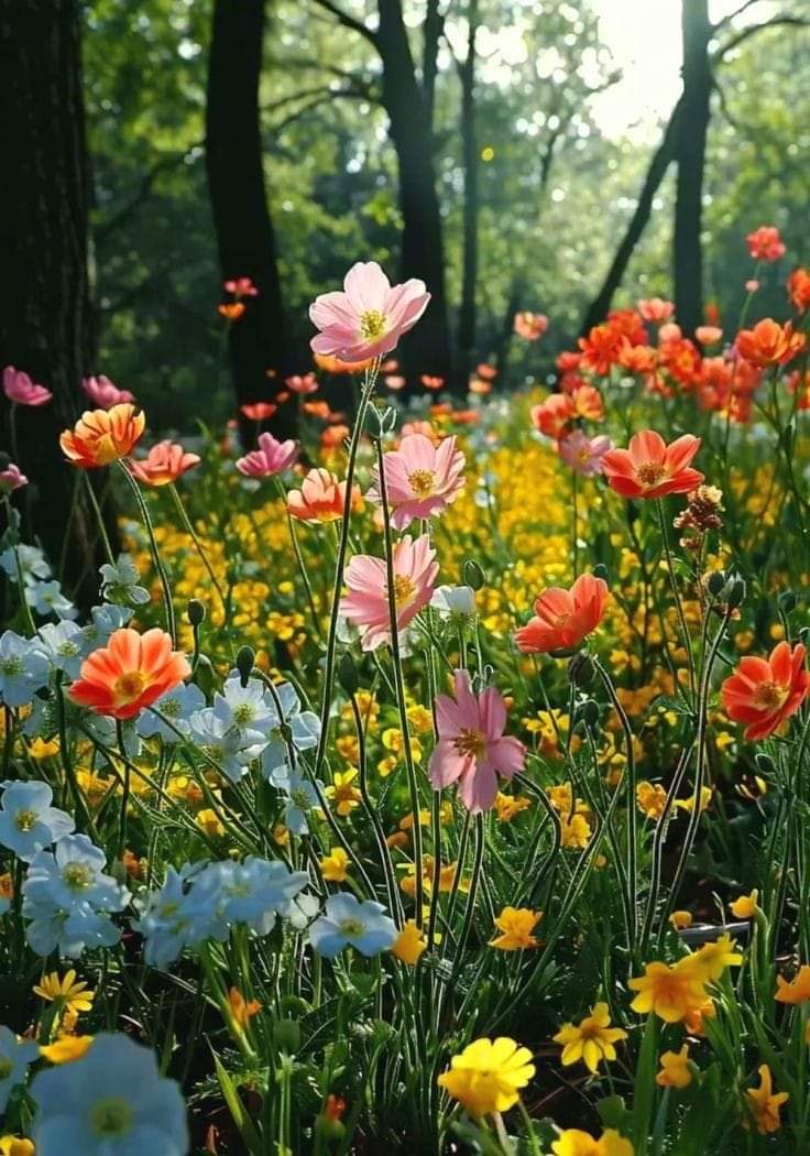   오늘의 생활정보 (2024-04-13, 토)
