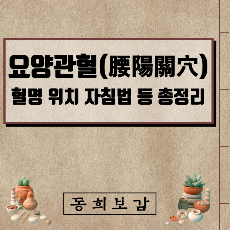  요양관혈(腰陽關穴), 소속경맥 혈명 위치 특성 자침법 등 총정리