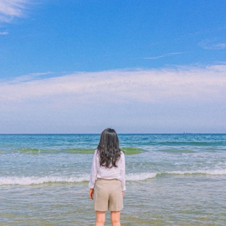  강릉 가볼만한 곳 안목해변 카페거리 중앙시장 맛집 투어 강릉속초숙소