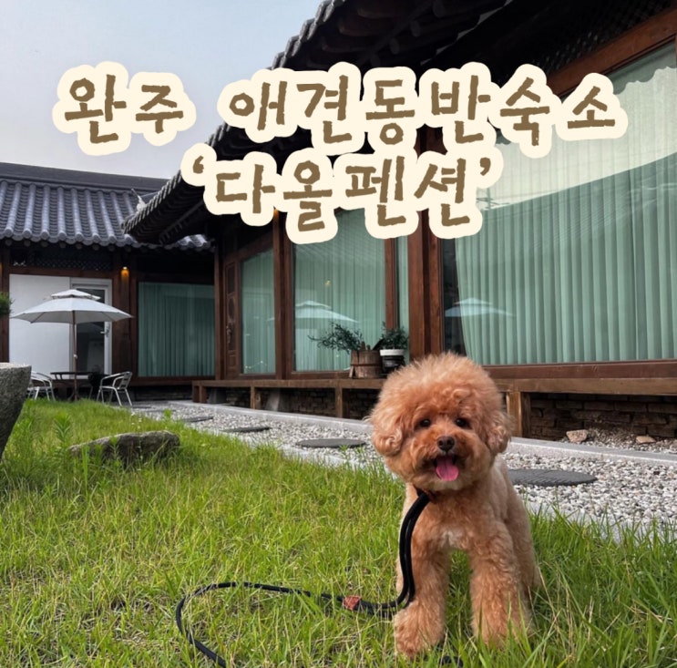  [전주/완주][애견동반] 가성비 한옥펜션 다올