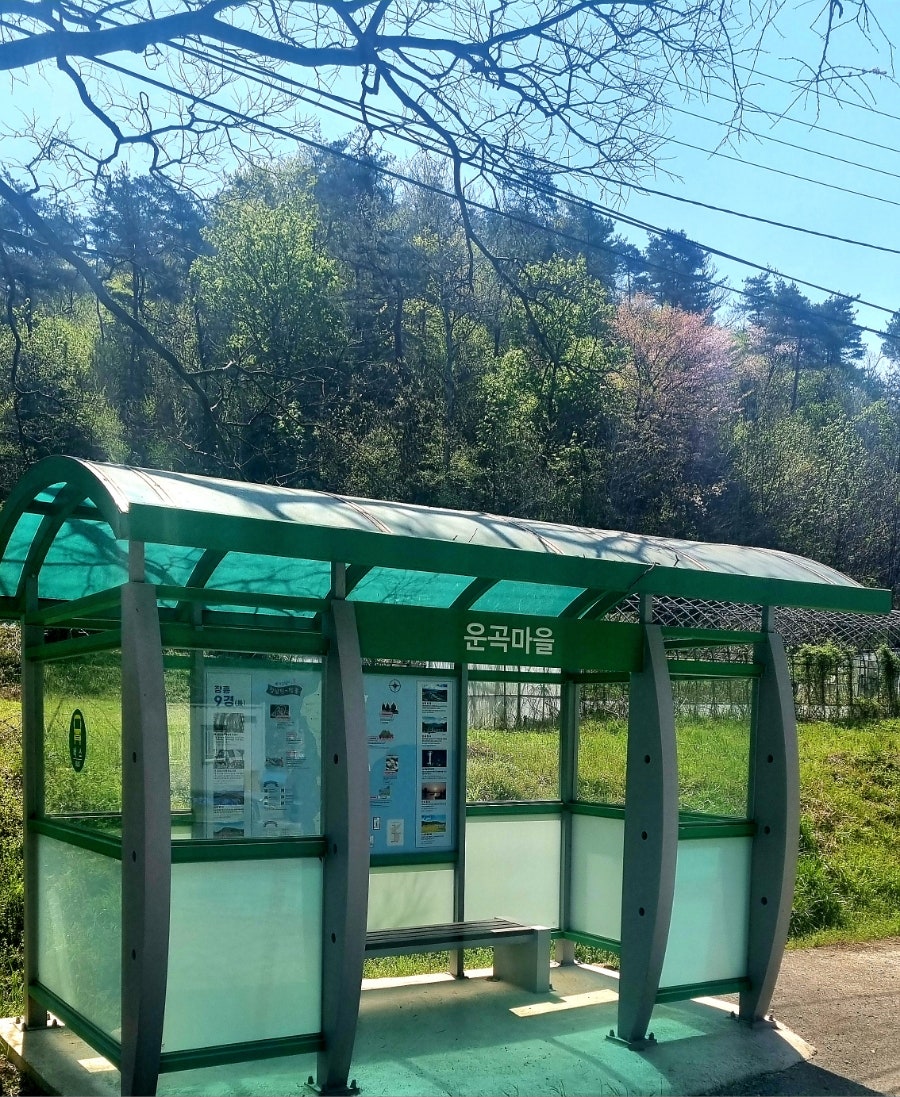 소반바위산 사진 6