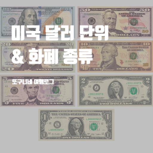  미국 달러 단위 & 화폐 종류