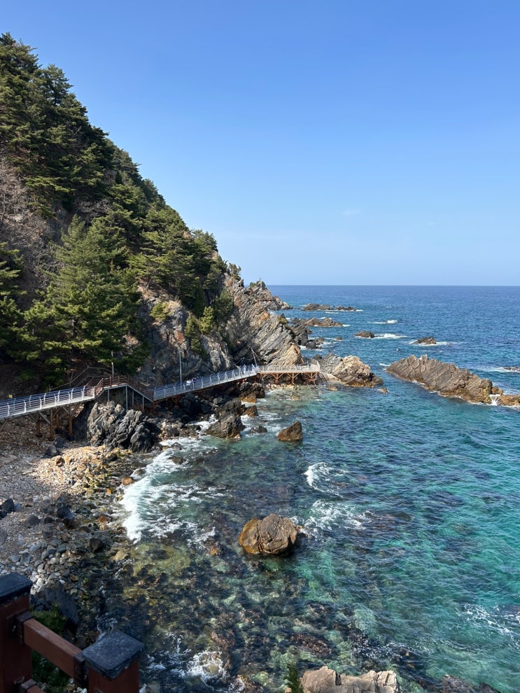  정동심곡 바다부채길 | 강릉 바다산책로 정동진 가볼만한곳