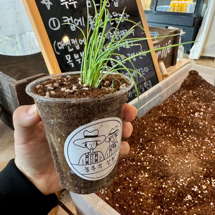  구미 근교 가볼만한곳 무을 농부의정원 솔직 후기