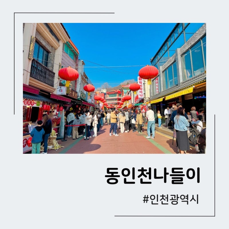 사진 6