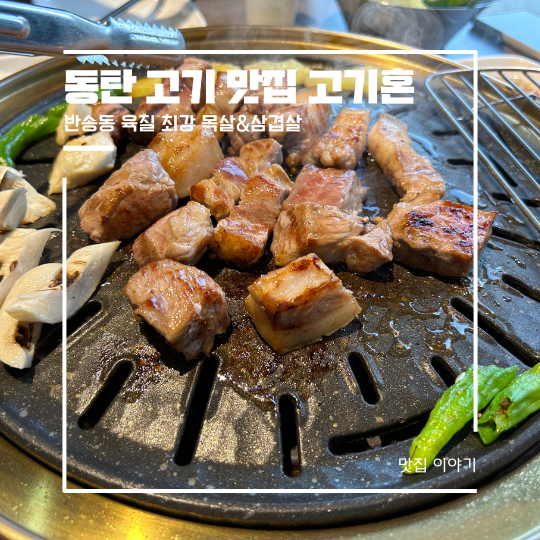  동탄 고기맛집 반송동 고기집 고기혼