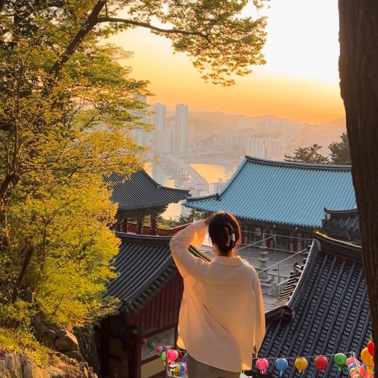  부산 영도 가볼만한곳 도심 속 바다가 보이는 절 일몰 노을 명소 사찰 복천사