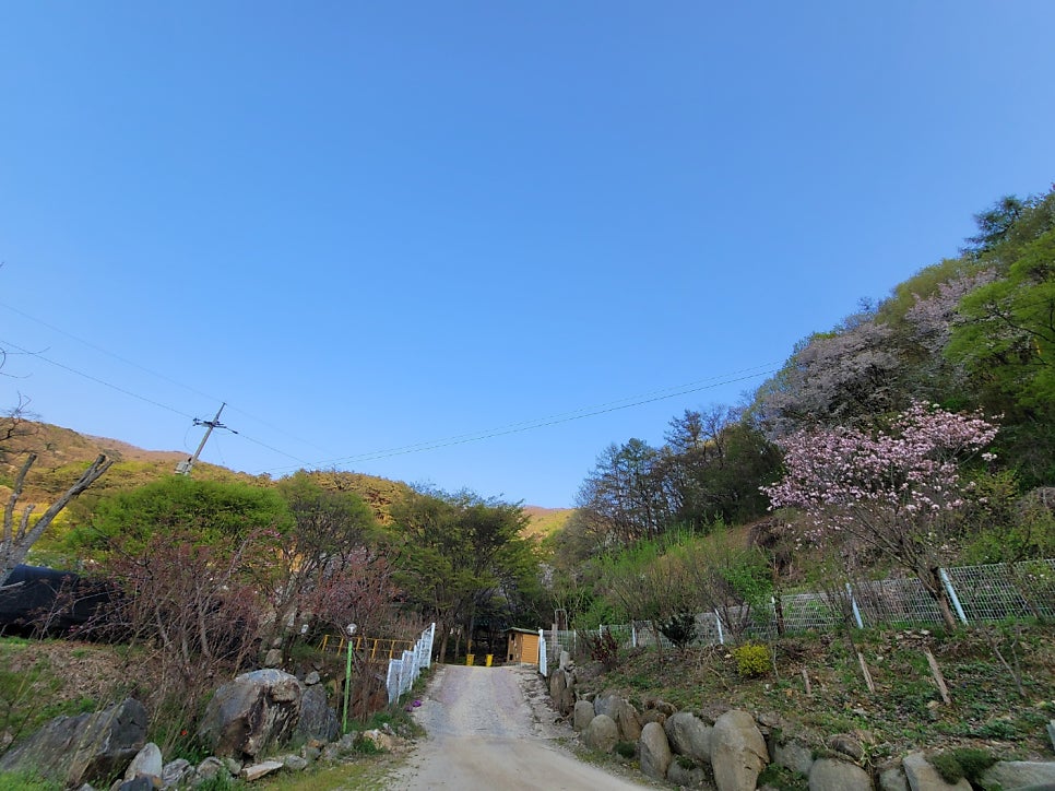 산아름펜션 사진 4
