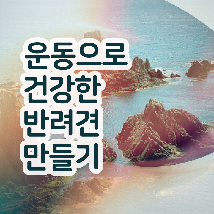  반려견운동지도사 클래스 , 반려견운동지도사 자격증 취득했던 후기 요점정리