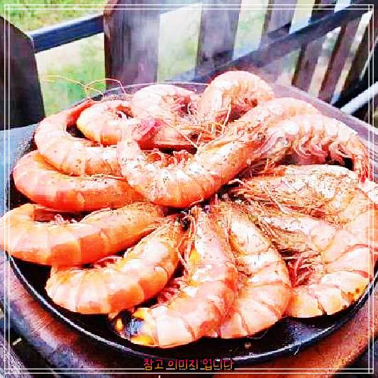  생생정보마당에서 소개한 영종도 마시안해변 다올조개구이 맛집 '가리비구이 전복구이 ''무한리필조개구이' 탐방코너 추천!