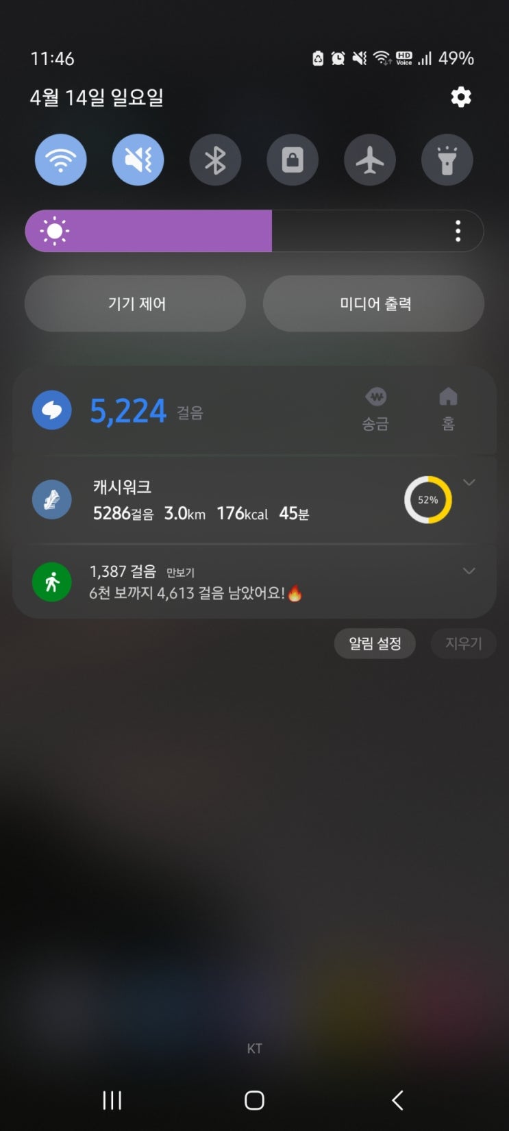 걷기운동챌린지 2024년 4월 14일 체력 챙기기 걷기운동챌린지 2024년 4월 14일 체력 챙기기