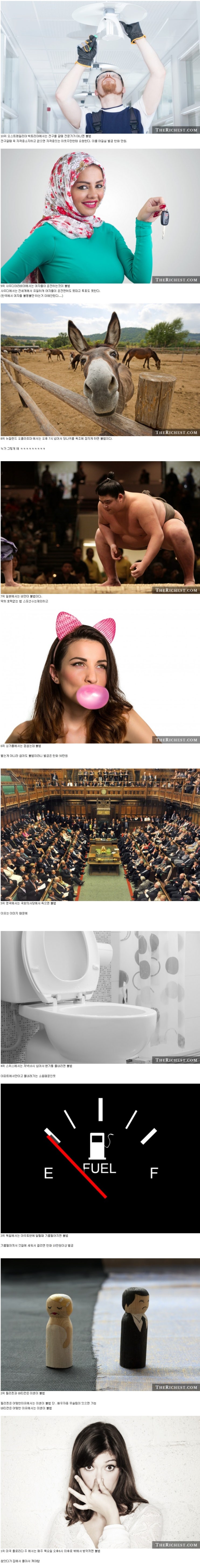  실제로 존재하는 황당한 법