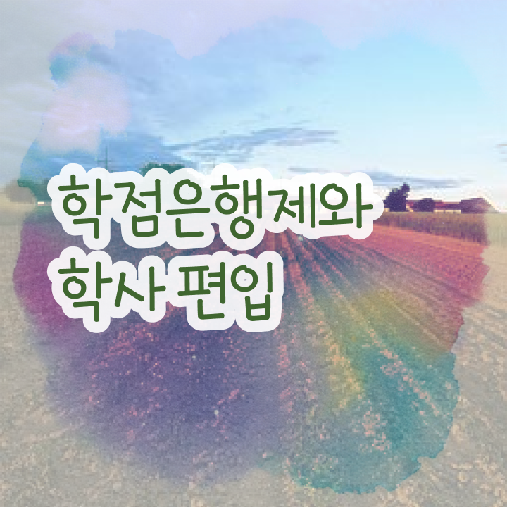  학점은행제현실 학은제 멘토 이 부분만 꼭 결정하세요