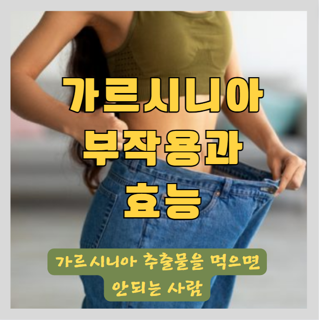  다이어트 건강기능식품에 많은 가르시니아 캄보지아 추출물의 부작용과 주의사항과 효능에 대한 연구결과 요약