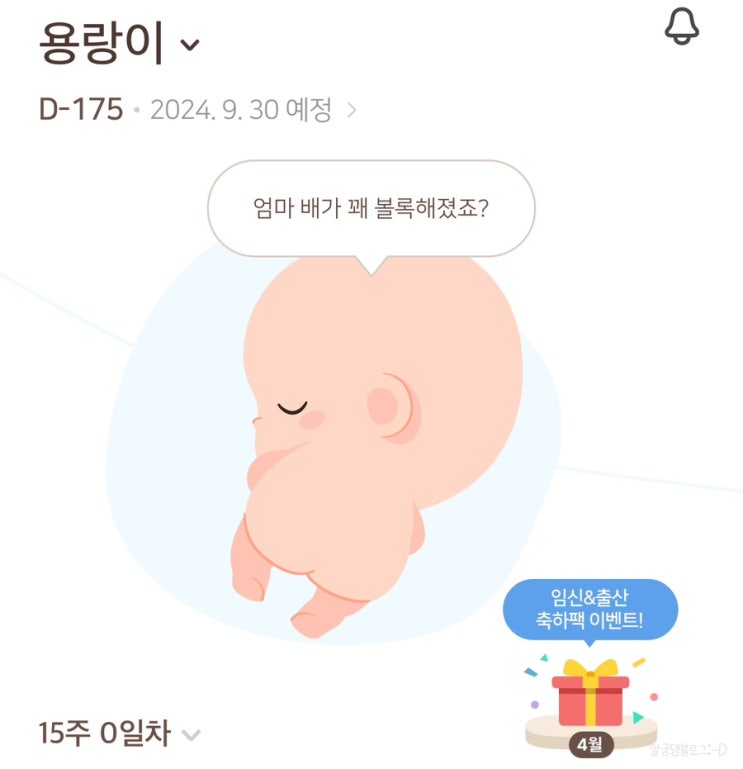 임신 15주차 | 제16회 아기를 부탁해 임신선물박스 당첨 후기, 현대해상 태아보험 약관 도착