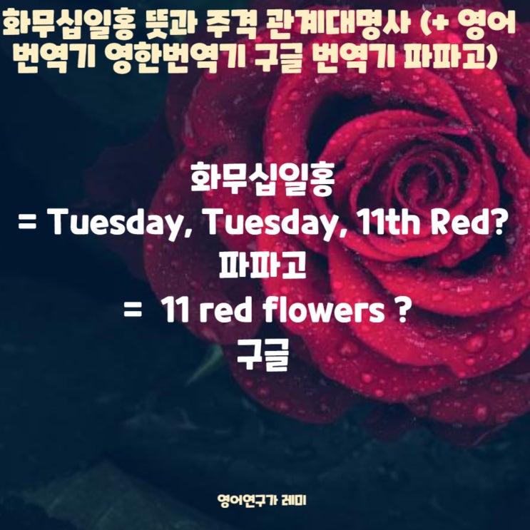 화무십일홍 뜻과 주격 관계대명사 (+ 영어번역기 영한번역기 구글 번역기 파파고) 화무십일홍 뜻과 주격 관계대명사 (+ 영어번역기 영한번역기 구글 번역기 파파고)