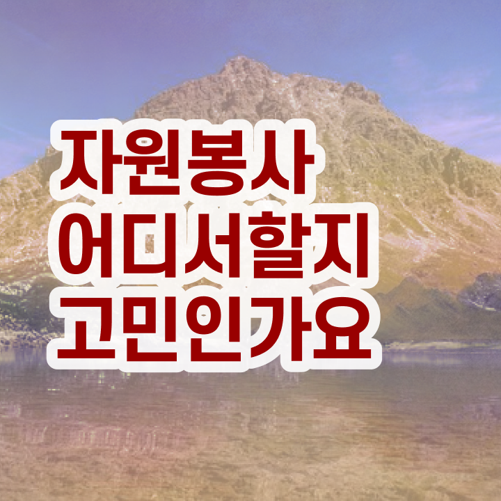  통역 자원봉사 , 자원봉사지도사 자격증 커리큘럼 확인해봅시다