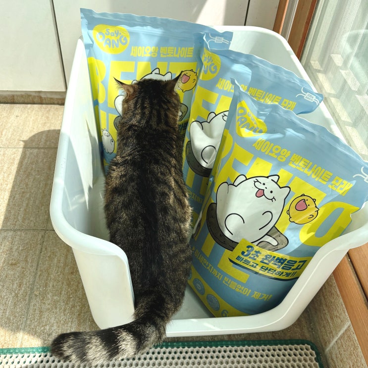  고양이 벤토나이트 모래, 먼지 없고 응고력 좋은 세이오앙 혼합입자(비마이펫 추천인 코드)