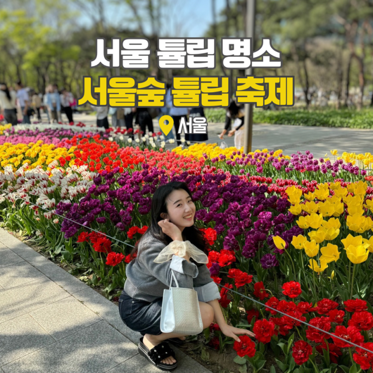  서울숲 튤립축제 위치 서울 꽃구경 데이트 4.14 봄꽃 개화 현황