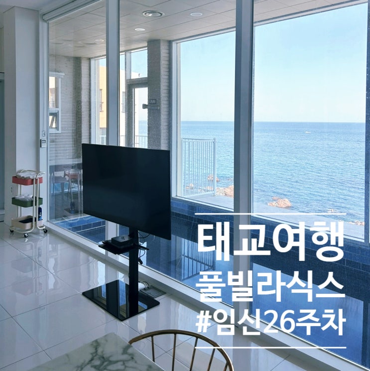  [임신 26주차] 태교여행 영덕 오션뷰 풀빌라 풀빌라식스
